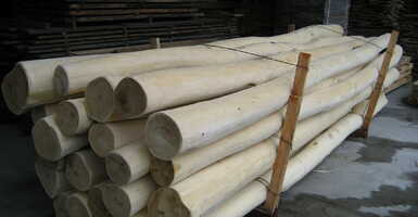 Most te is megtudhatod, hogy miért jó egy akácfa kerítés! 